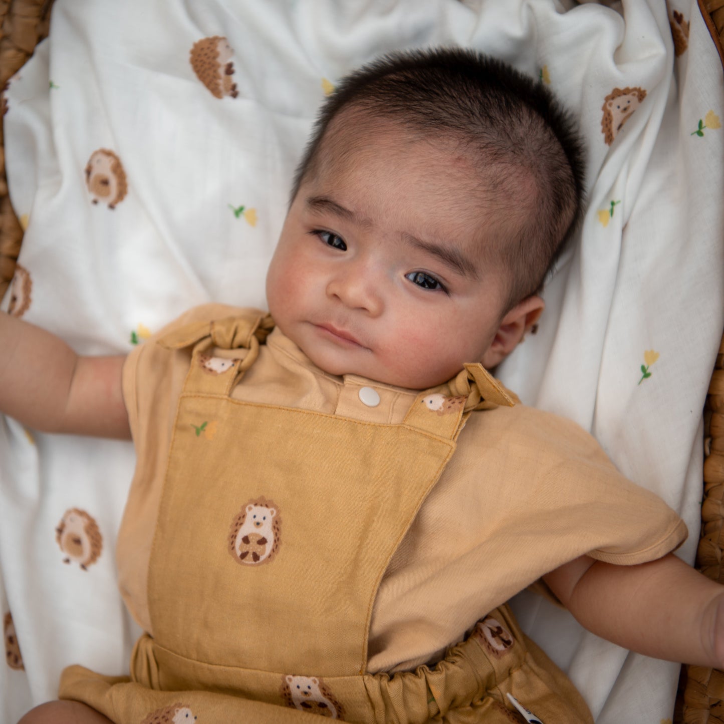 The Pumpkin Dungaree